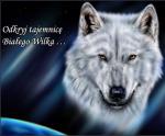 whitewolf1608's Photo
