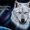 whitewolf1608's Photo